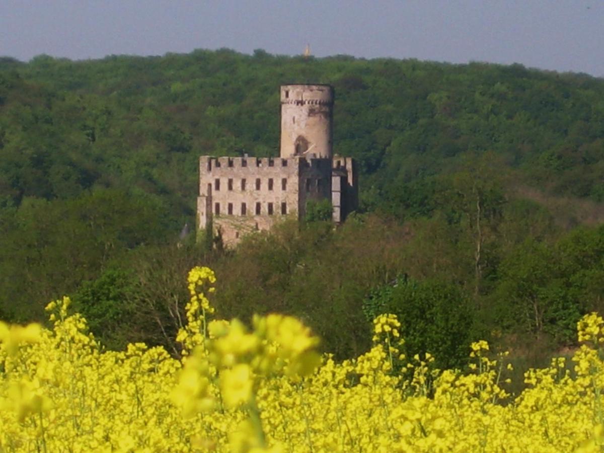 Tiny House Natur-Traum Zur Burg Eltz Wierschem Buitenkant foto