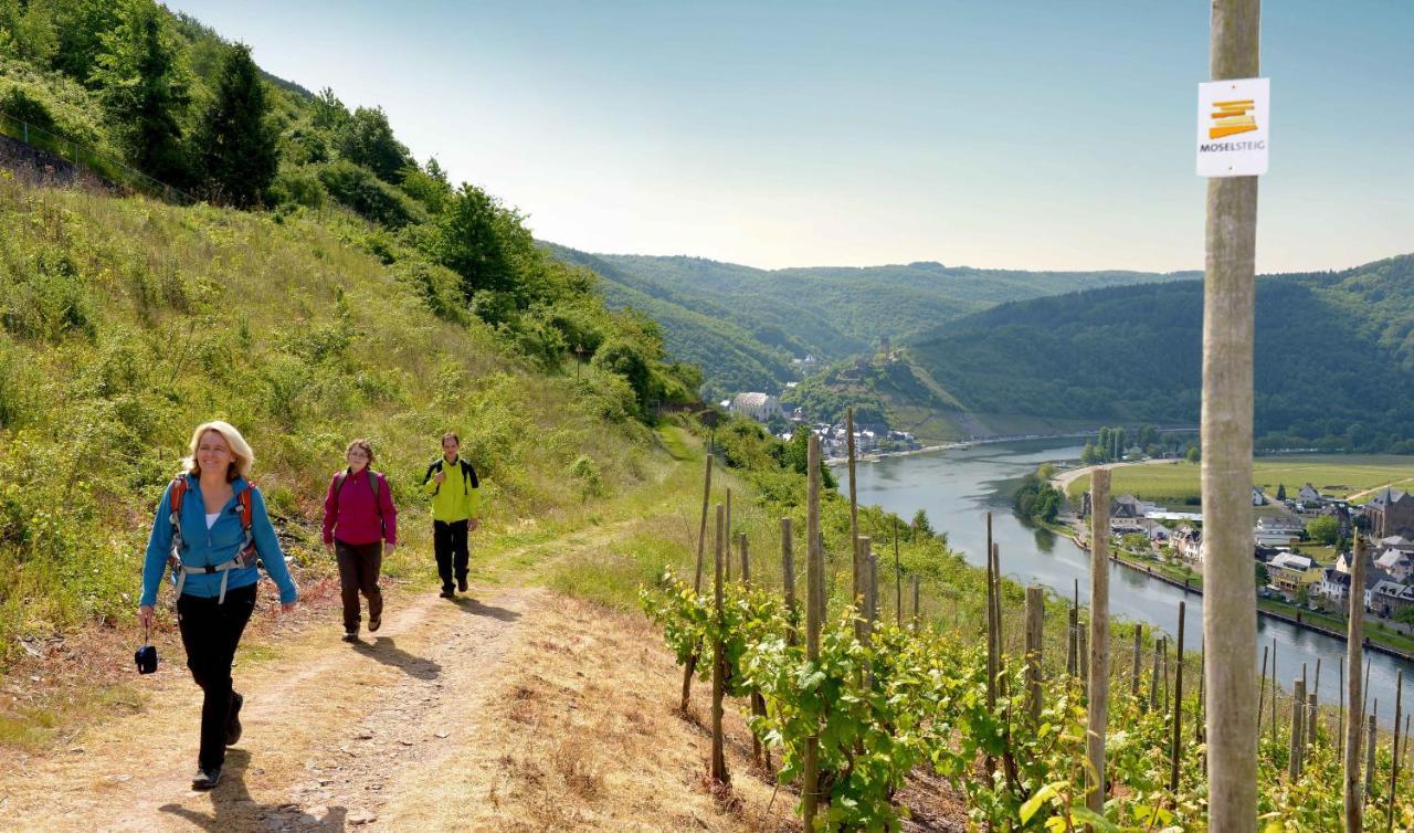 Tiny House Natur-Traum Zur Burg Eltz Wierschem Buitenkant foto